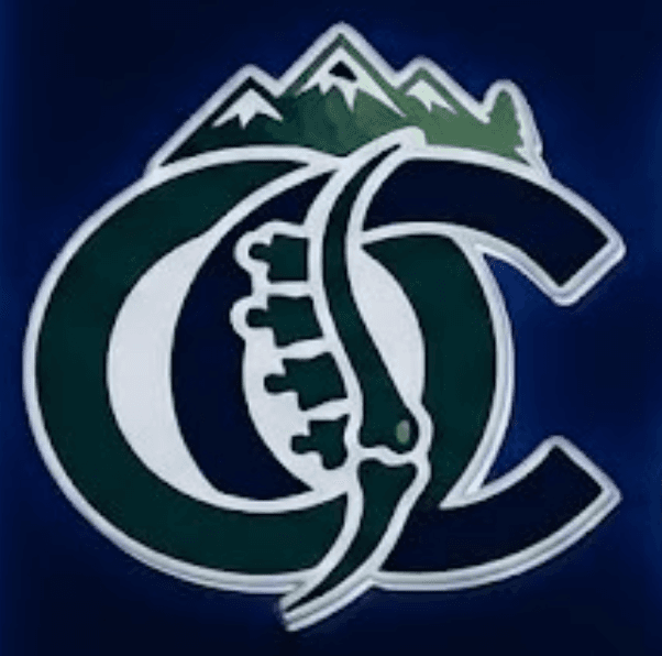 Ortho Centre Logo
